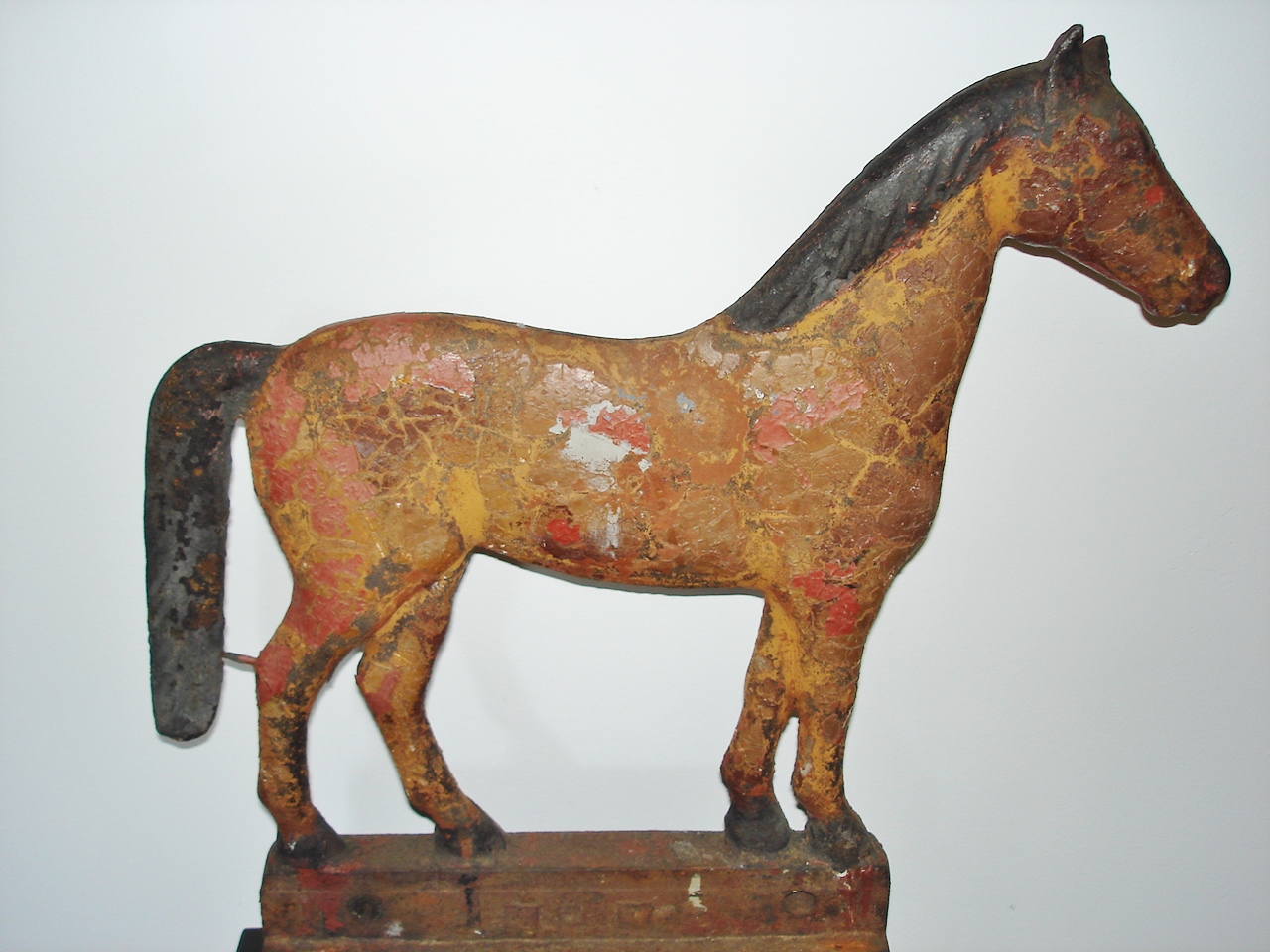 LONGTAIL HORSE IN GREAT OLD PAINT