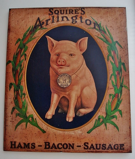 FINE SIGN OF THE SQUIRE PIG 
